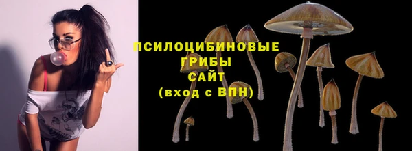 не бодяженный Армянск
