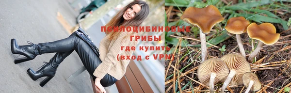 СК Арсеньев