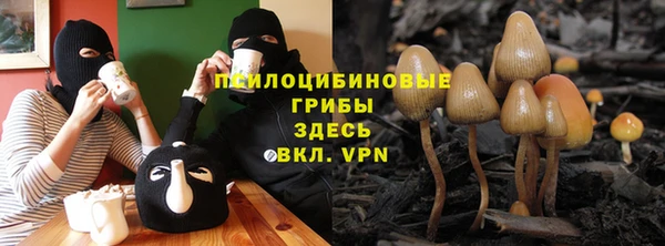герыч Аркадак
